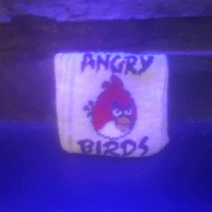 مچ بند پرندگان وحشی (خشمگین)  angry brids رنگ خاکستری